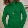 Pull Basic Col Roulé Vert Brésil -Vêtements Soldes 2024 facetune 06 12 2023 12 01 25